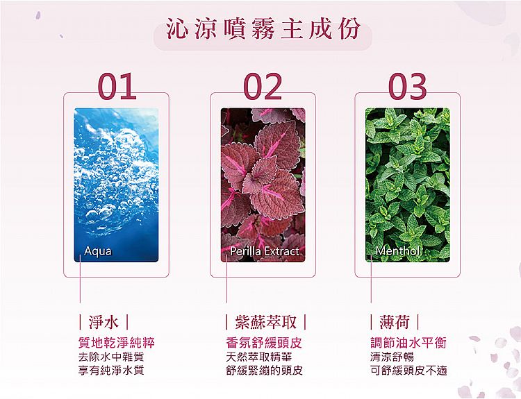 養髮液 頭皮護理 涼感 涼爽 臺灣 造型